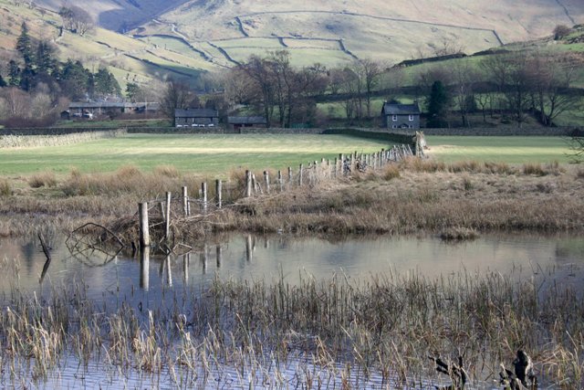 Fence, Brotherswater
