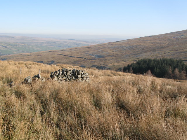 Sheepfold above the valley of East Grain