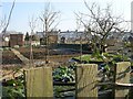 Allotments - off New Road Side