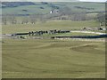 Dunrod Church & Graveyard