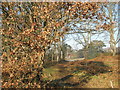 Footpath from Heath Road East to the Cricket Field