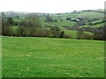 Fields east of Penisarplwyf