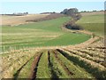 Byway near Stancombe Farm