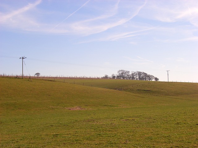 Nutwood Down