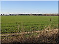 View across the fields to Sholden from Southwall Road