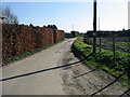 View along the road from Summerfield Farm to Dix