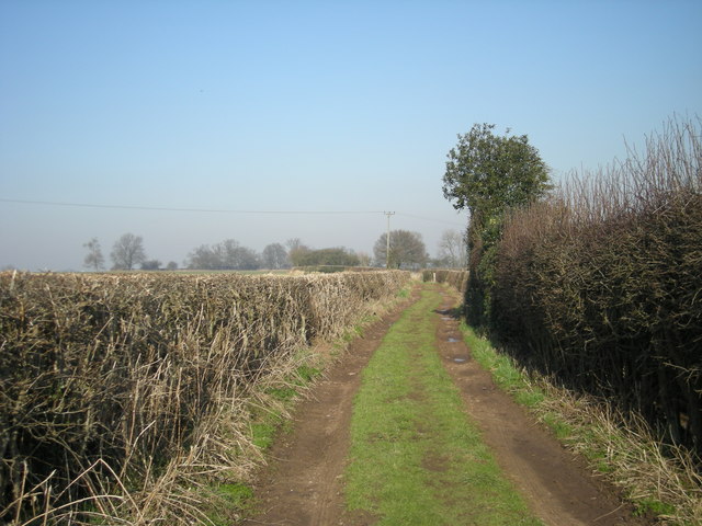 Farmtrack to the fields