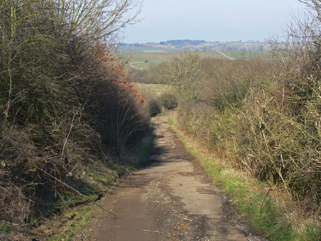 North along Marefield Lane