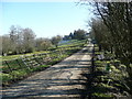 Road to Bwlch Farm