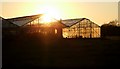 Hog Lane Nursery Glasshouses