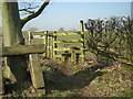 Stile to a recently sown field