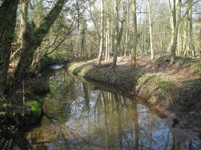 Upstream from the footbridge
