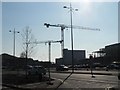 Newport: cranes in silhouette