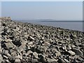 Sudbrook: boulders on Severn foreshore