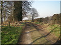 Farm Track near Dingle Plantation