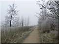 Frosty Footpath