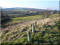 Avenue Washlands - View from Broom Drive