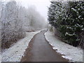 Snow on Sustrans Route 66