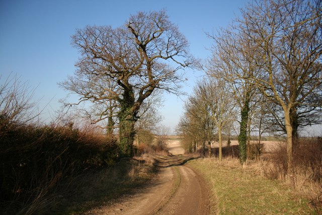Eastbeck Lane