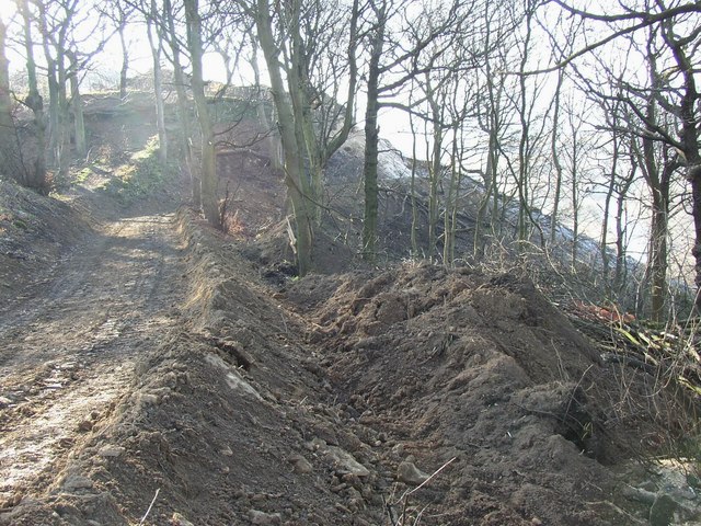 Site track at the landslip, Reins Wood, Rastrick