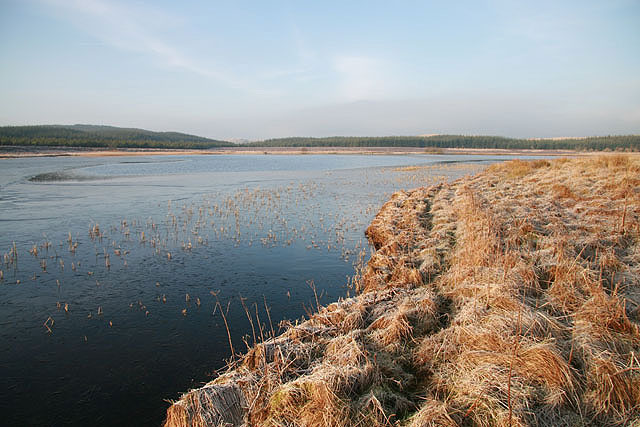 Kingside Loch from the north bank