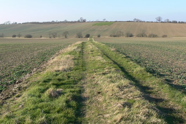 Farm track across the fields