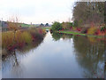 Pond, Lambourn