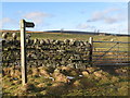 Footpath to Knock Shield