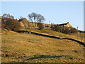 Pastures below Tedham