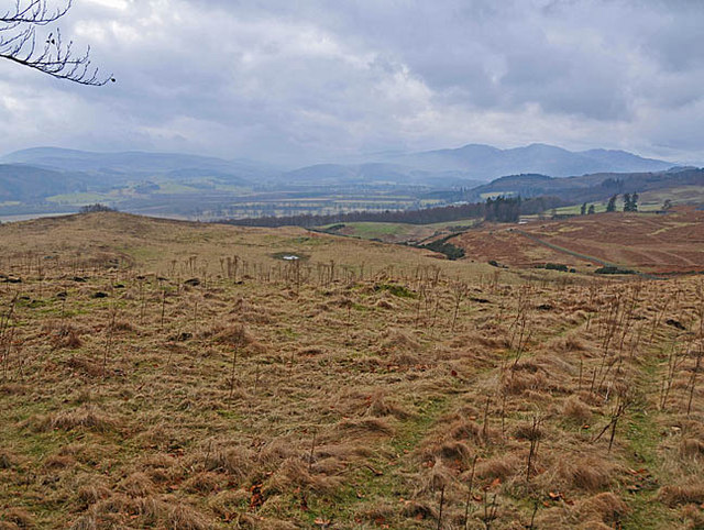 Rough pasture on the north side of Strathearn