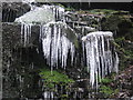 Icicles at Buckden Wood Stubbins