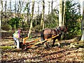 Valley Park - Logging the Old Fashion Way