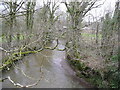 River Lew at Gribbleford Bridge