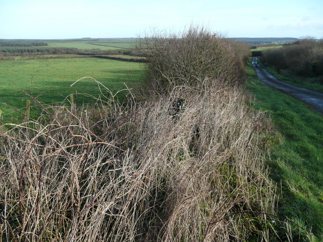 Lane and fields east of Meddon