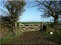 SS3016 : Gate and footpath by Jonathan Billinger