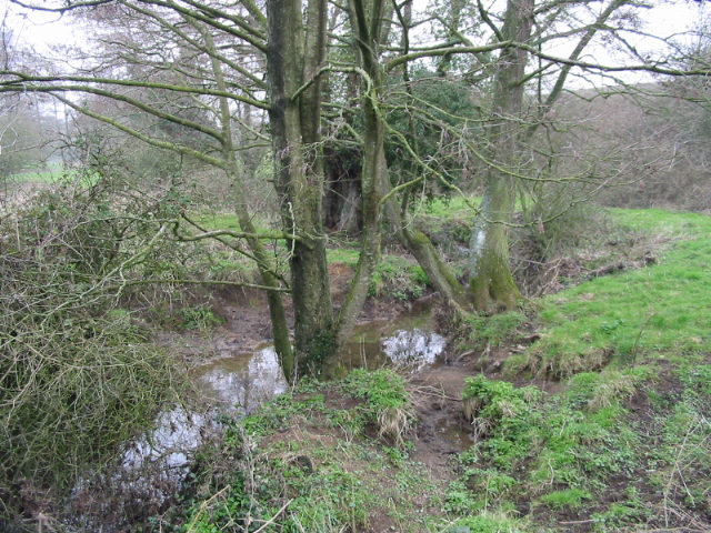 Conygre Brook, near Priston Mill