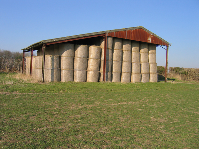 210 round straw bales in an open-sided barn
