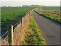 Farm road approaching Sheepdrove Farm