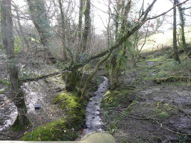 Stream at Docton