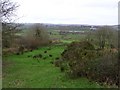 Magherakeel Townland