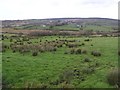 Ballyetragh Townland