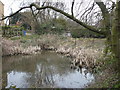 A pond at Rodmersham Green