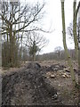 Woodland being cleared near Rodmersham Cricket Club