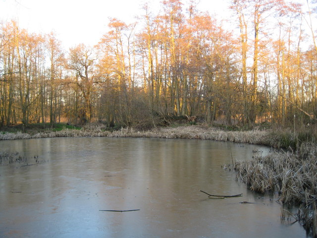 Fox Corner: Community Wildlife Area pond