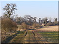 SU5052 : Footpath to Willesley Warren Farm by Colin Smith