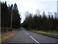 Road and Woods Near Scroggs Bank