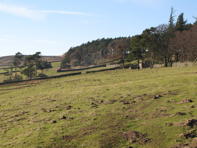Pastures east of Riddlehamhope
