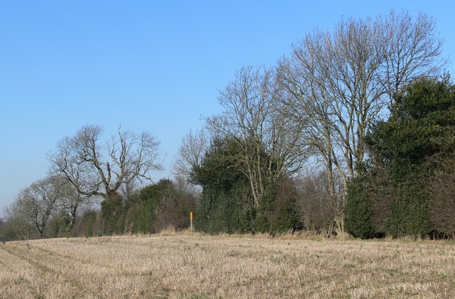 Farmland near Leicester Forest West