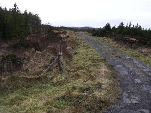 Road at Corlea
