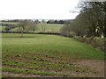 Field near Treboy Farm